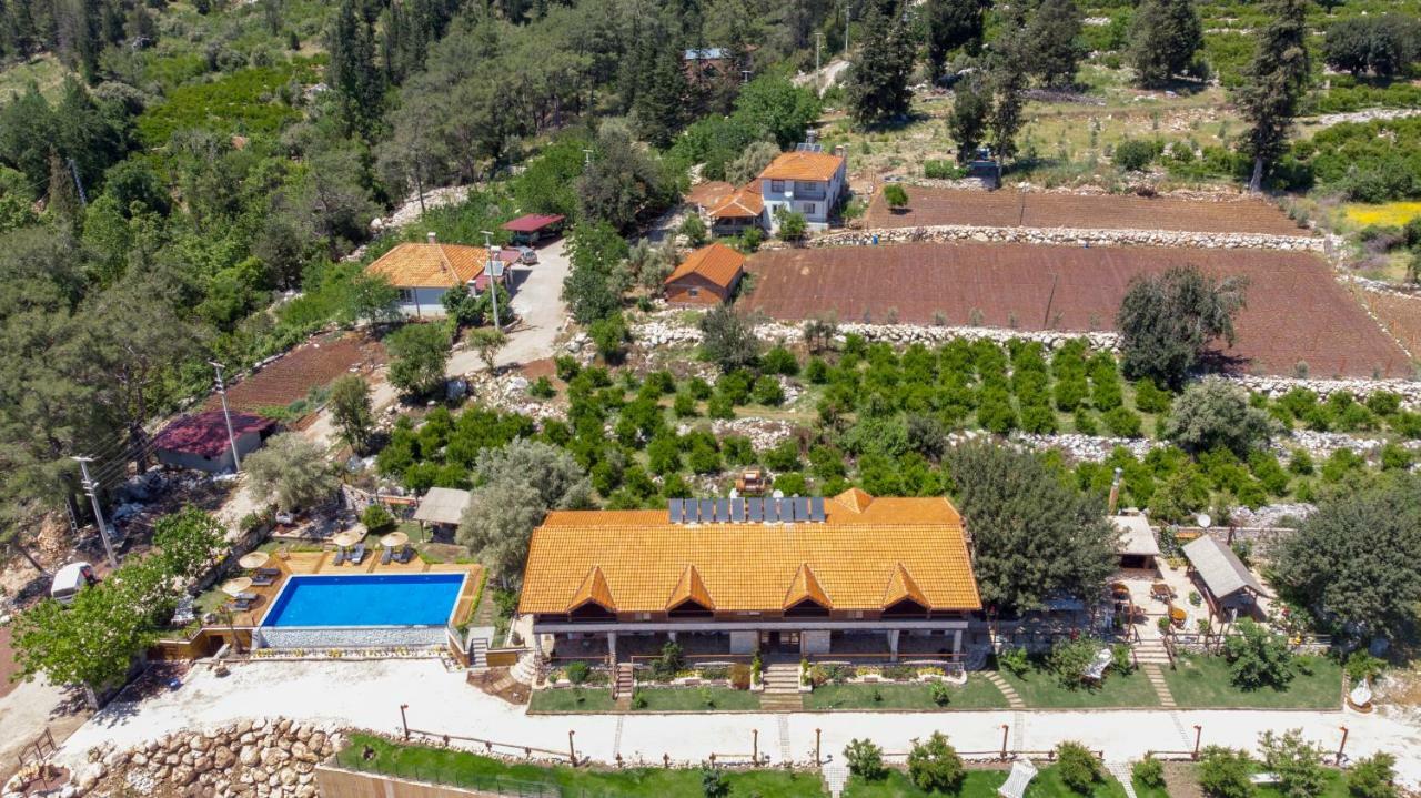 Casa De Padre
